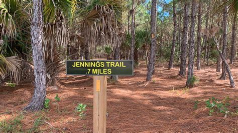 Myakka State Forest - Florida Hikes