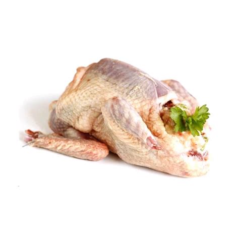 Squab Pigeon (450g +/-) - First Choice Produce