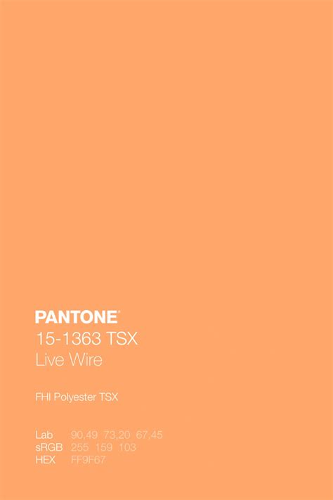 PANTONE 15-1363 TSX Live Wire Color Code in 2023 | Pantone colour palettes, Orange color ...