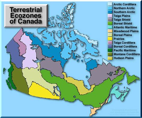 Landform Regions Of Canada Map