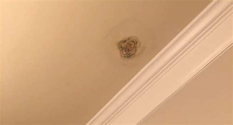 How To Get Rid Of Mold On Ceiling In Bedroom - Bedroom Poster