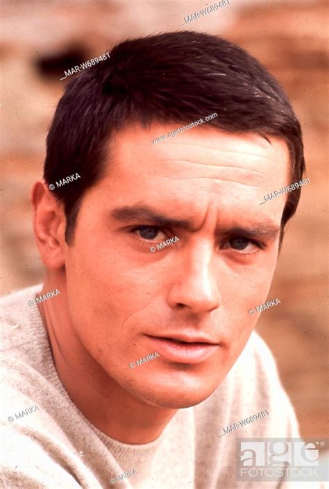alain delon, anni '60, Stock Photo, Picture And Rights Managed Image ...