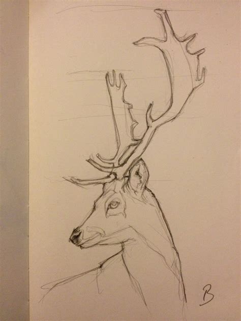 Reindeer Sketch | Animal drawings, Deer drawing, Art drawings sketches