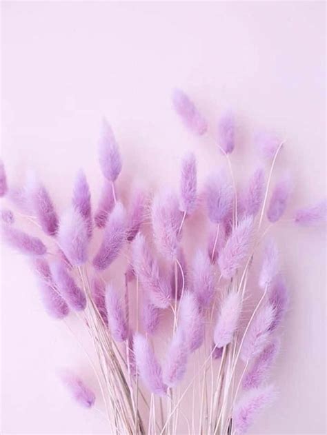 Share 62+ lavender aesthetic wallpaper - in.cdgdbentre