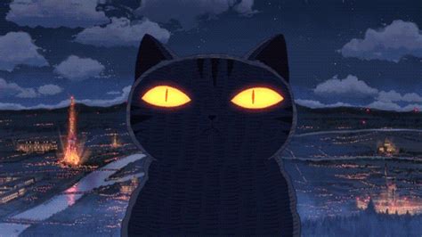 explosion funny cat gif | WiffleGif