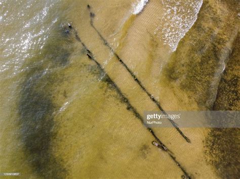 General view of the Gdansk Bay sandy beach with an algae and seaweed... News Photo - Getty Images