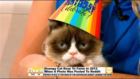 Happy Birthday Grumpy Cat Memes