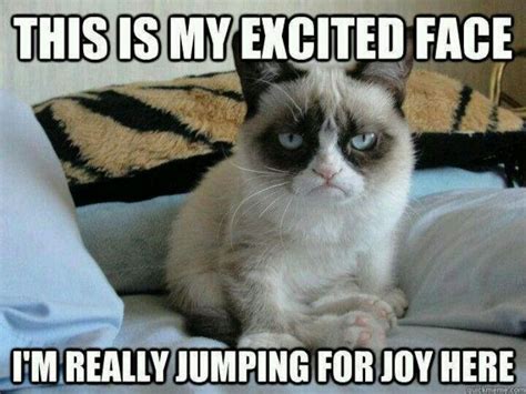 thiZ iZ My EXCitEd fACE ..i'M REAlly jUMPiNG fOR jOy hERE. | Grumpy cat, Funny picture jokes, Cats