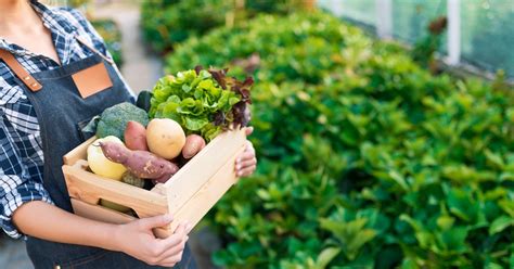 Why Is Locally Grown Food Better for the Environment?