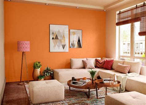 Discover Caramel Sauce N wall paint colour shade for your home. Choose ...