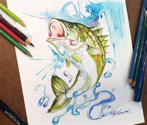 Striped Bass color drawing by Katy Lipscomb Art | No. 2761