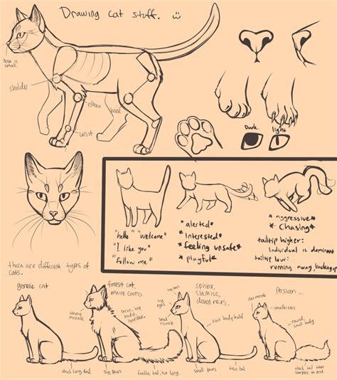 Drawing Cats by Neko-Maya on deviantART | Cat drawing tutorial, Cat anatomy, Cat drawing