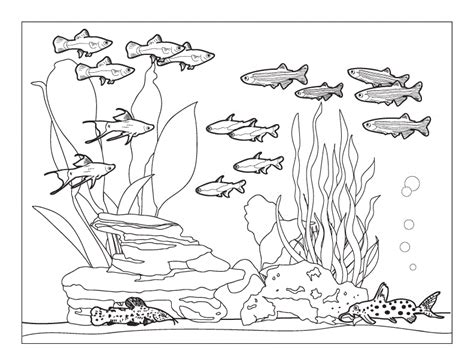 Aquarium Coloring Pages - Best Coloring Pages For Kids