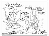 Aquarium Coloring Pages  Best For Kids sketch template