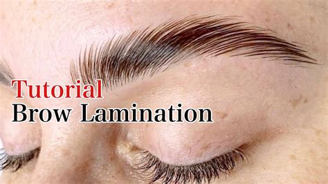 Brow Lamination Tutorial || Kris H. - YouTube