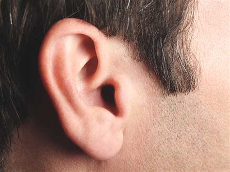 Ear Infection in Adults: Symptoms, Causes, Diagnosis & More