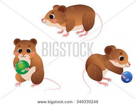 Cute Cartoon Vole Vector & Photo (Free Trial) | Bigstock