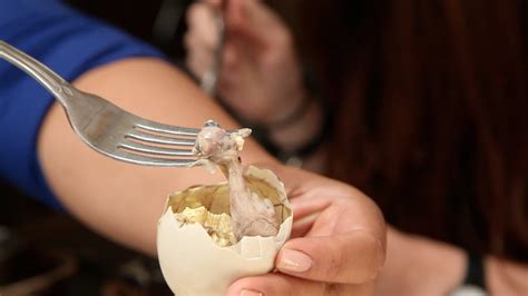 How To Eat Balut -- The Strangest Food You Can Buy In New York City ...