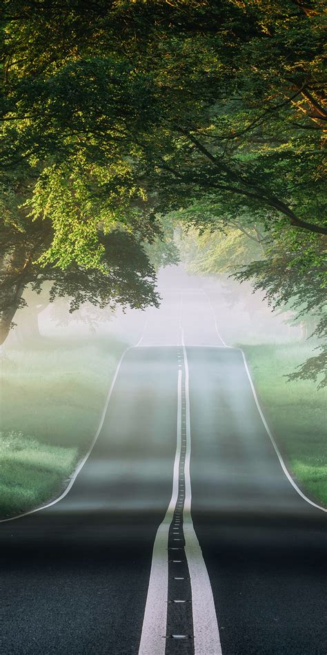 Download wallpaper 1080x2160 misty forest, tree, road, honor 7x, honor ...