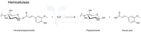 Enzyme Manual: Pectinase