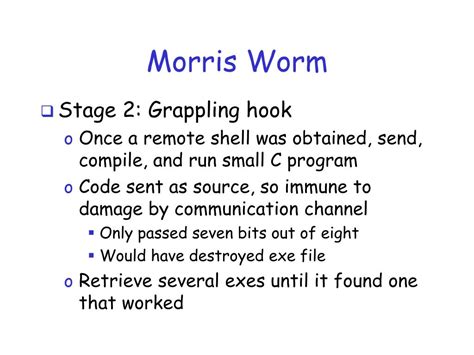 PPT - Chapter 7 Worms PowerPoint Presentation, free download - ID:1584739