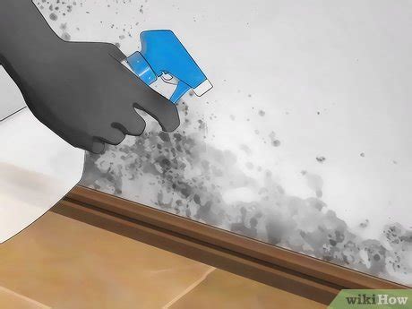 How to Kill Mold With Vinegar: 14 Steps (with Pictures) - wikiHow