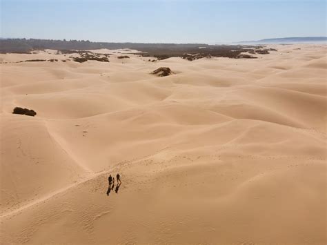 Pismo Beach Sand Dunes: The Essential Guide to Visiting Oceano Dunes