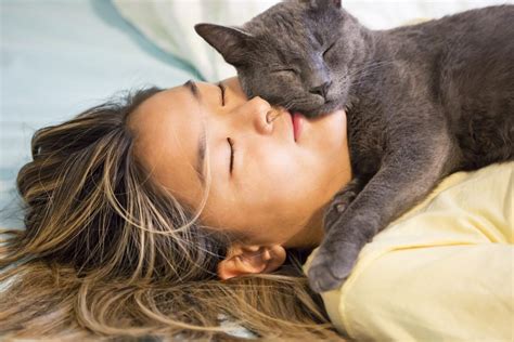 Why Does Your Cat Want to Sleep With You? | Flipboard