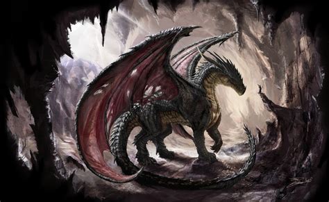 Medieval Dragon Wallpapers - Top Free Medieval Dragon Backgrounds - WallpaperAccess