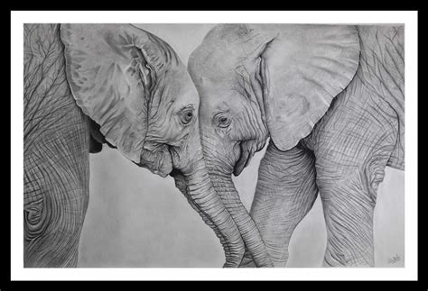 Pencil Sketch - Affectionate Elephants | imagicArt