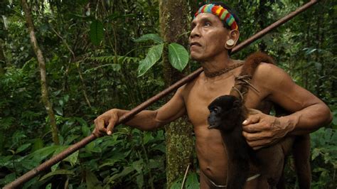 Amazon tribes found living in complete isolation: Photos | The Advertiser