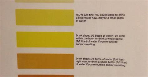 Dehydration Urine Color Chart at Work : mildlyinteresting