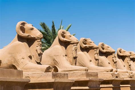 Wat te doen in Luxor in Egypte? Tips + bezienswaardigheden