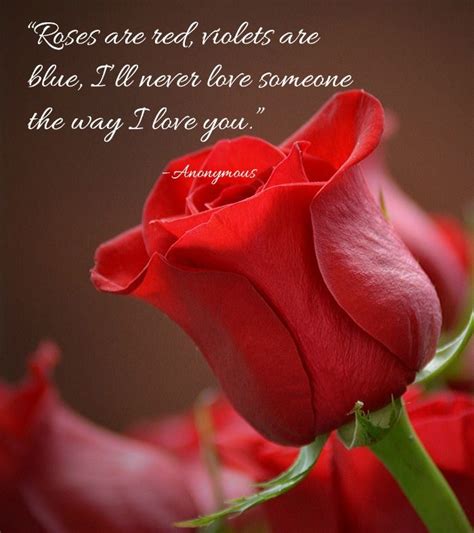 Romantic Rose Quotes - 20 Best Rose Love Quotes with Images | Rose ...