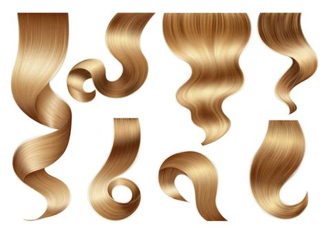 Realistic Hair Curls Set 27178826 Vector Art at Vecteezy