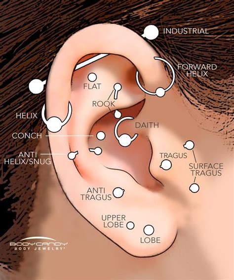 Guida All'Orecchio Piercing: Tipi, Accompagnamento e Dove Farlo Fare A Singapore | Société ...