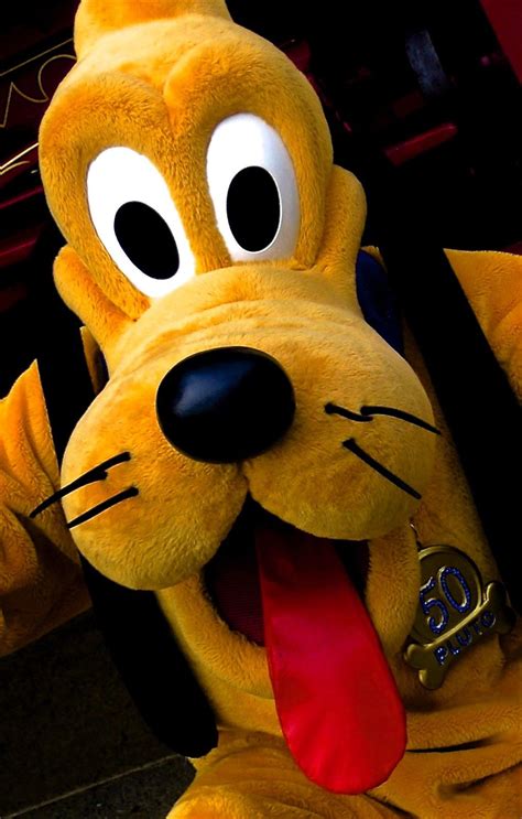 Pluto in Disneyland Disneyland Disney, Disney Fun, Disney Magic, Disney ...