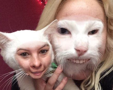 Face Swapping With Pets: A Whole Other Level Of Weird | BeChewy