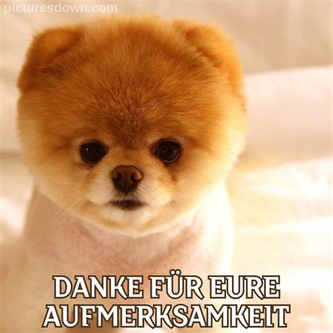 Danke für eure aufmerksamkeit bild Spitz