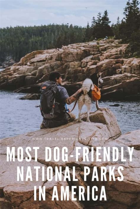 10 Most Dog-Friendly National Parks in the U.S. - The National Parks Experience