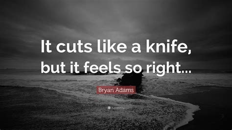 Bryan Adams Quote: “It cuts like a knife, but it feels so right...”