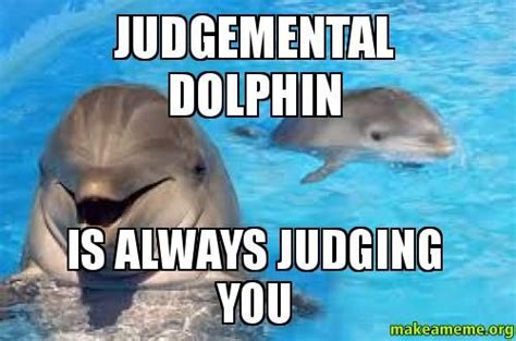 Always... | Dolphins, Dolphin memes, Memes