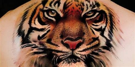 Tatuaggi Schiena Tigre | Tatuaggiokn