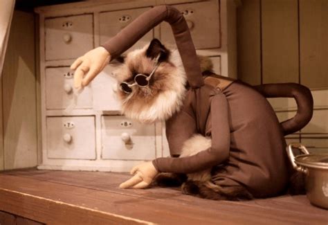 Incredible Cat Cosplays You’ve Never Seen Before – The Cosplay Blog | Miccostumes.com