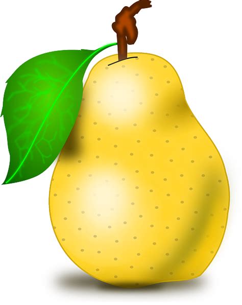 Frutas Pêra Frescos - Gráfico vetorial grátis no Pixabay