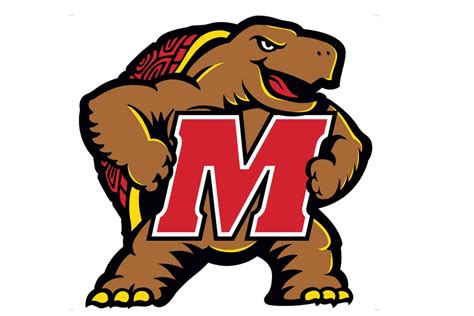 Maryland Terrapins Helmet - Maryland Football Helmet – The Speedy Cheetah