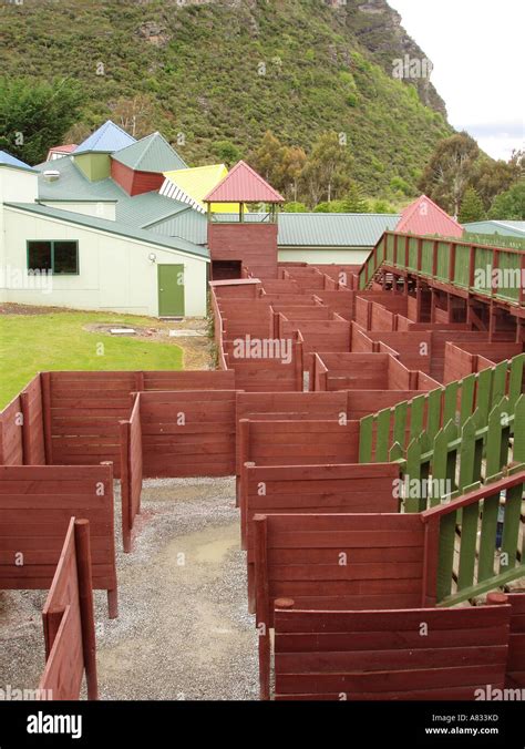 Great Maze at Puzzling World, Wanaka, New Zealand Stock Photo - Alamy