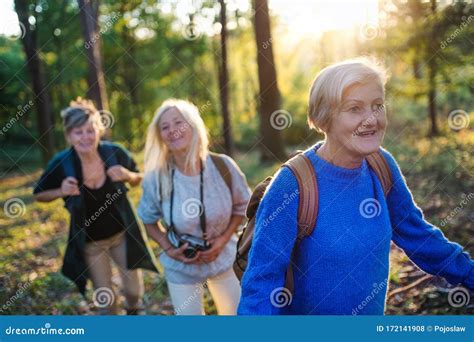 Senior Women Friends with Camera Walking Outdoors in Forest. Stock Photo - Image of happy ...