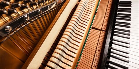 Everything You Must Know About Piano Strings - Learn to Play an ...