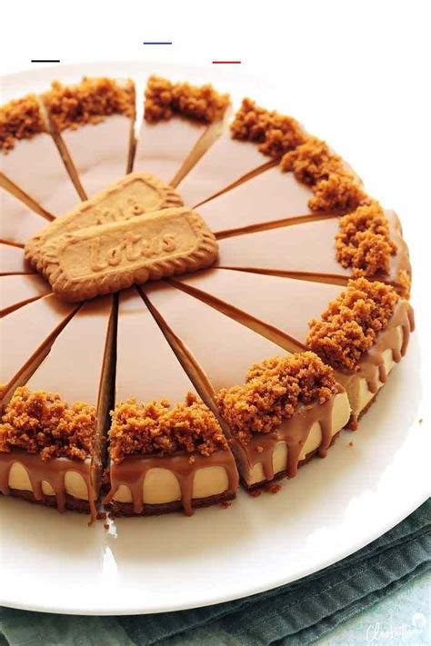 #foodloversrecipes | Cheesecake recipes, Savoury cake, Biscoff recipes